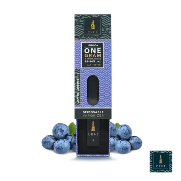 Blueberry Blast-Vape Pen